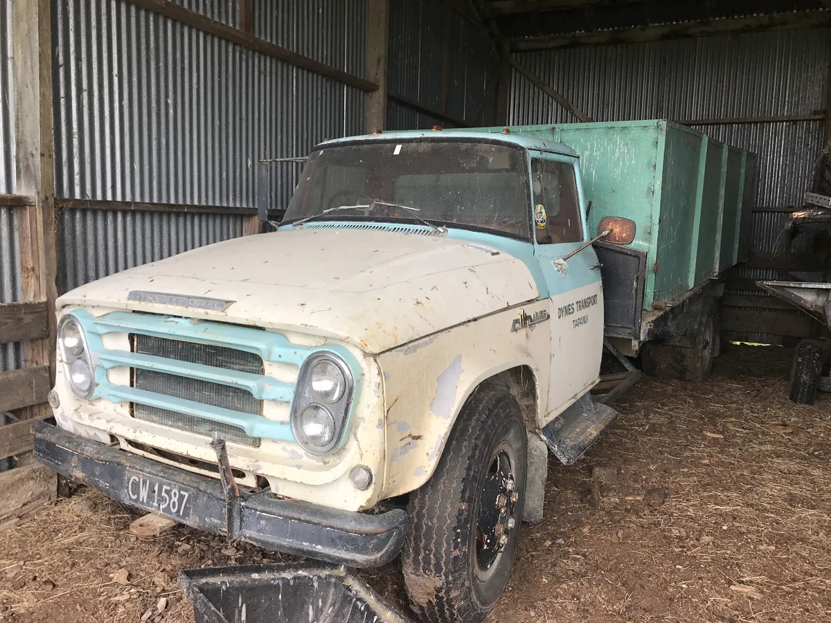 An unrestored cream and blue International truck sitting in a corrugated iron shed