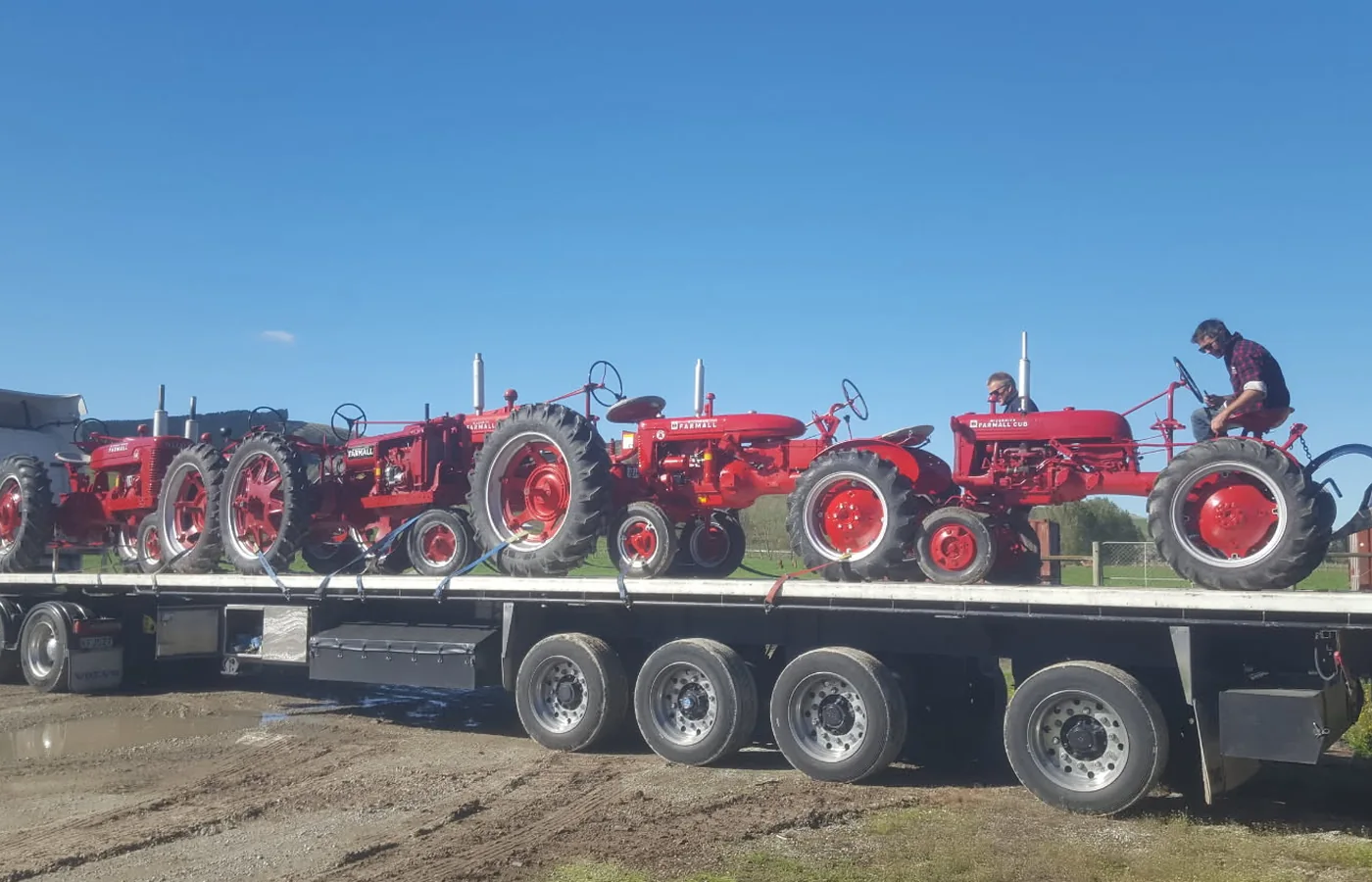 Restored Farmall tractors strapped side by side on a transporter deck
