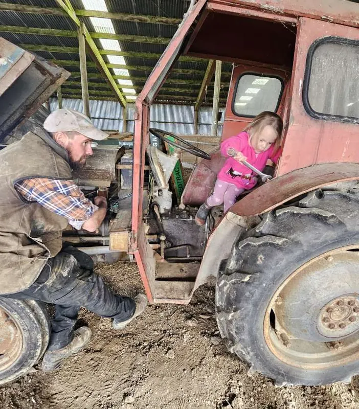 A man and a young girl working on a partly restored Ferguson TEA20 in a shed
